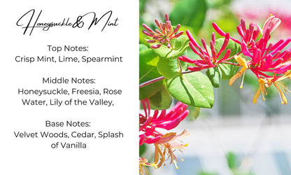 Honeysuckle