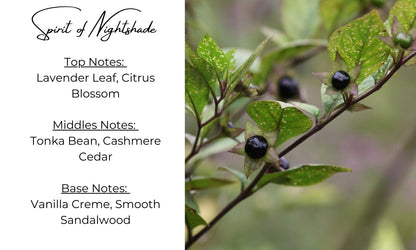 Spirit of Nightshade